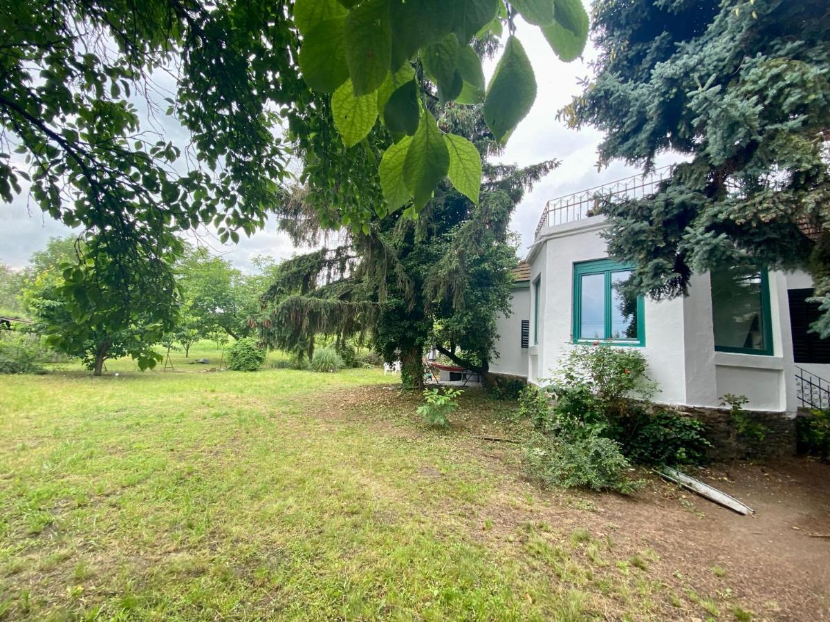 Villa Delibab 包道乔尼托毛伊 外观 照片
